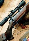 bolt action rifle topped with powerful scope for long-range shots